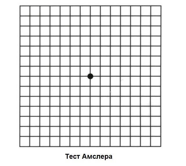 test amslera makulodistrofiya