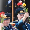 Новогодний ценопад